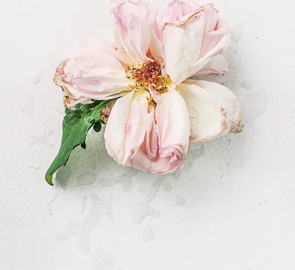 INTIMIDAD ♥️ AMOR