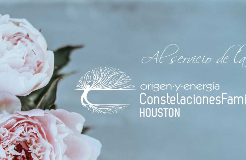 CURSO VIRTUAL DE 6 SEMANAS