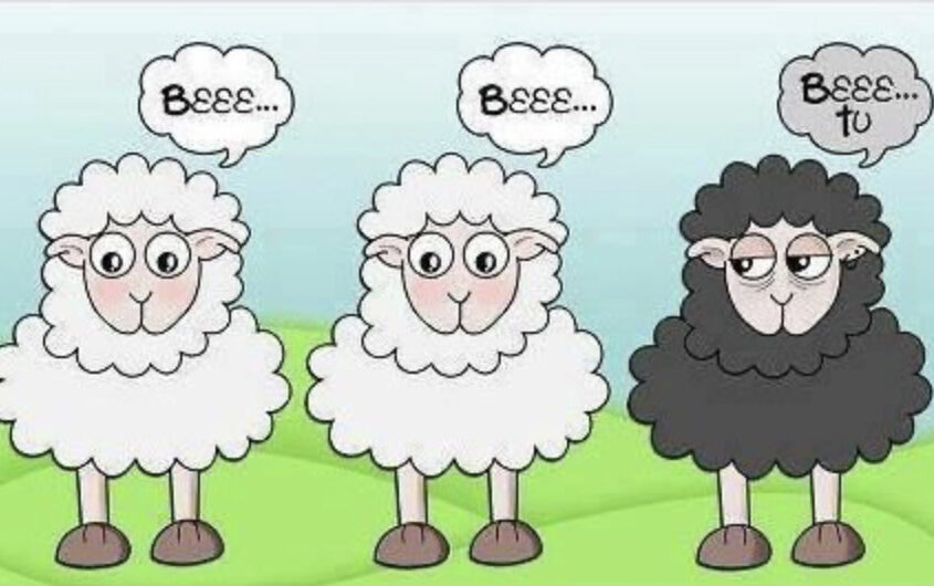 Las Ovejas Negras – Bert Hellinger