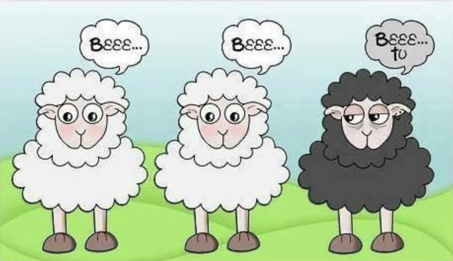 Las Ovejas Negras – Bert Hellinger