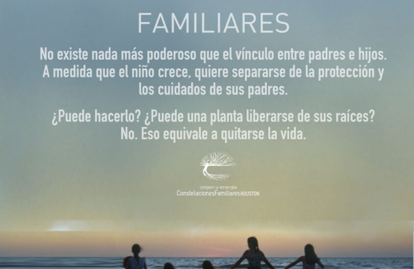 CLASES VIRTUALES DE CONSTELACIONES FAMILIARES