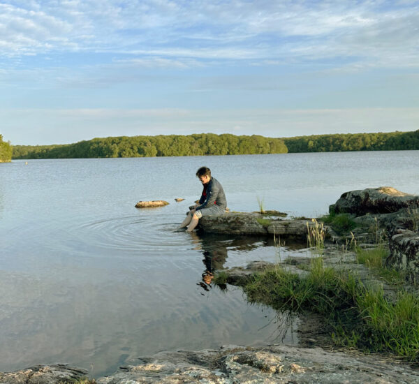 Para crear la paz debemos renunciar al deseo de justicia – Bert Hellinger