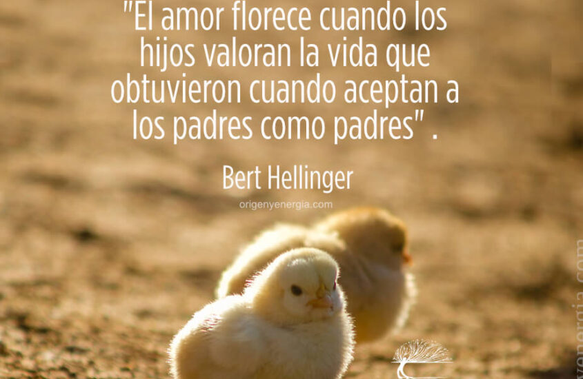 LOS HIJOS Y LAS CONSECUENCIAS DE NO TOMAR A SUS PADRES